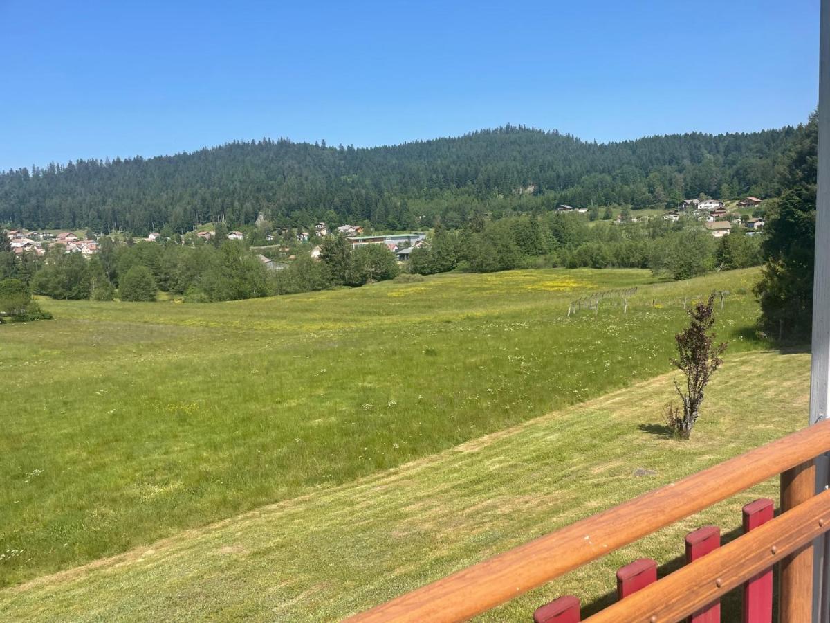 Chalet Le Cedre Bleu 10 P - 10 Min De Gerardmer Le Tholy Bagian luar foto