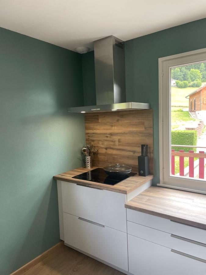 Chalet Le Cedre Bleu 10 P - 10 Min De Gerardmer Le Tholy Bagian luar foto