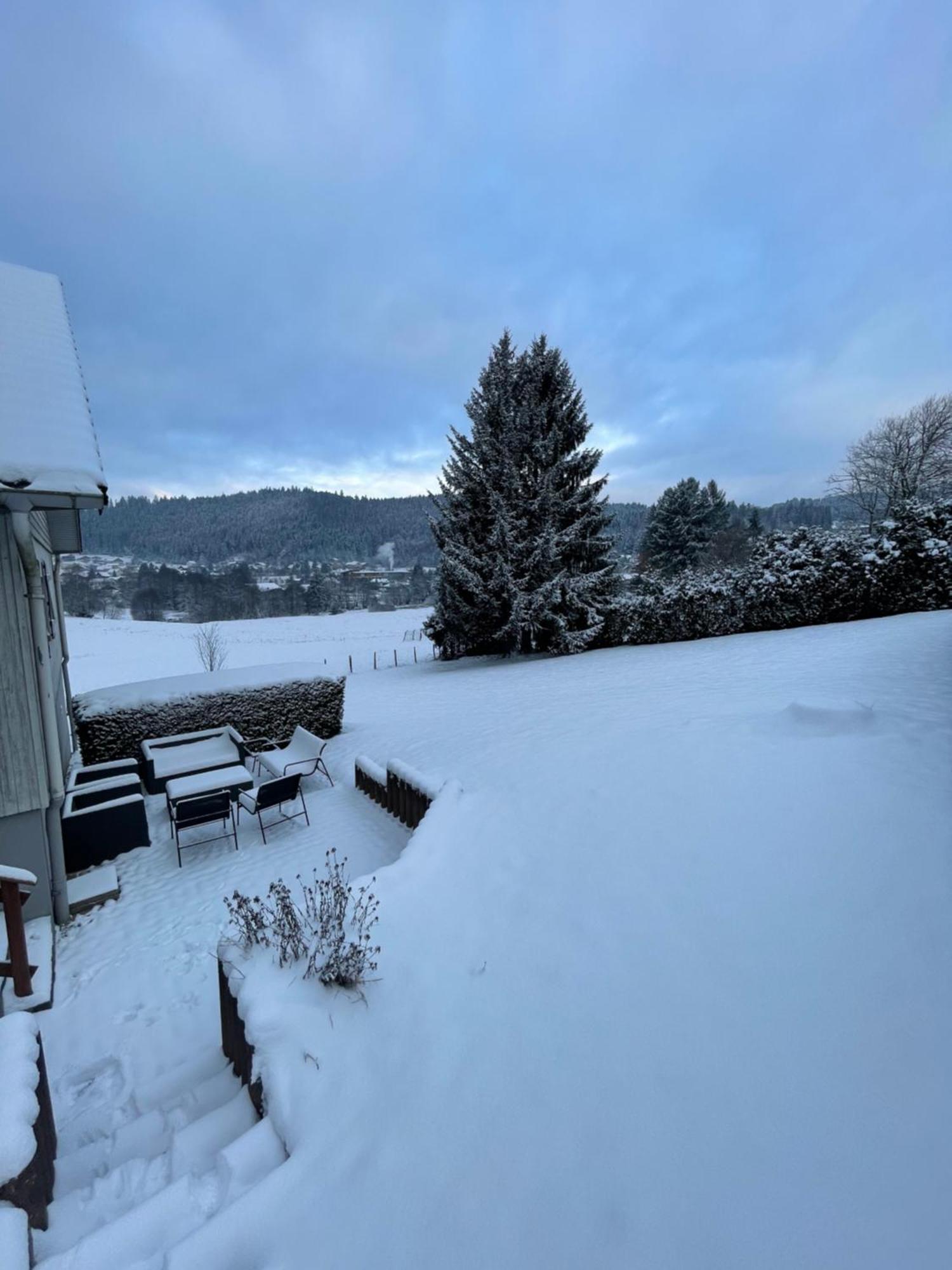 Chalet Le Cedre Bleu 10 P - 10 Min De Gerardmer Le Tholy Bagian luar foto